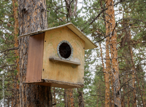 makeshift houses for the birds in the Park