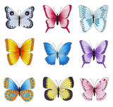 Set of multicolored butterflies isolated on white background.