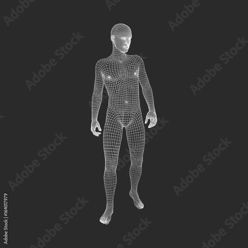 Man Stands on his Feet.3D Model of Man. Geometric Design. 3d Polygonal Covering Skin. Human Body Wire Model. Vector Illustration.