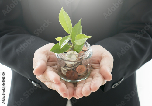 Business hands holding coin tree