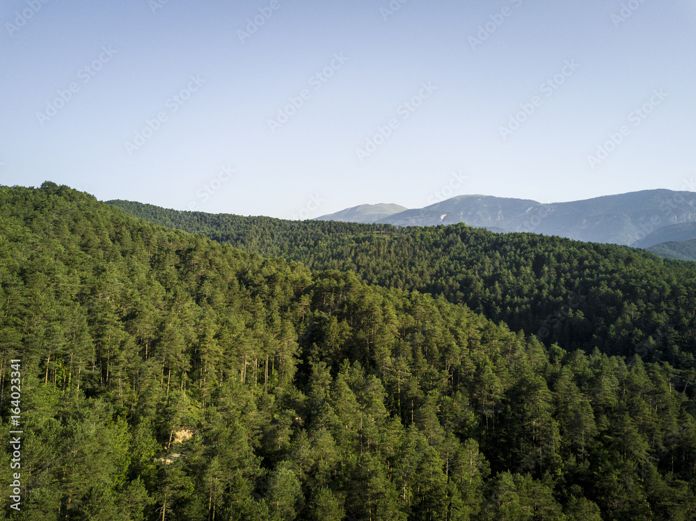 Aerial view of a forest in Catalonia Spain