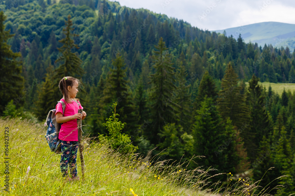 Cute little girl walking in mountains, holding wooden stick and wildflowers, wearing pink t-shirt