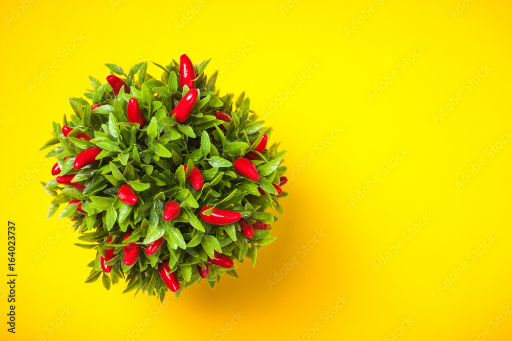 Pepper plant shot from above on yellow background.