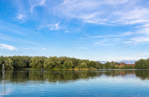 Fototapeta Naklejka Na Ścianę i Meble -  Summer lake landscape with green trees and bush, Woking, Surrey