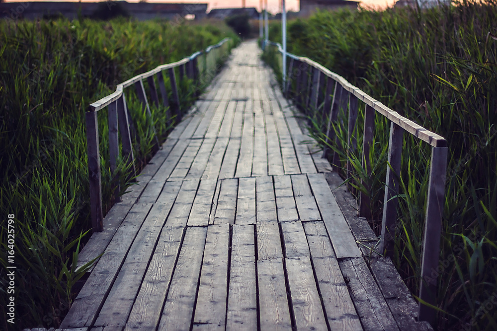 Old wooden bridge over a small shallow river flows into estuary of the Black Sea. Wood bridge leads into the reeds vanishing point perspective. Bridge to the swamp in the Meadowlands. Marsh boardwalk.