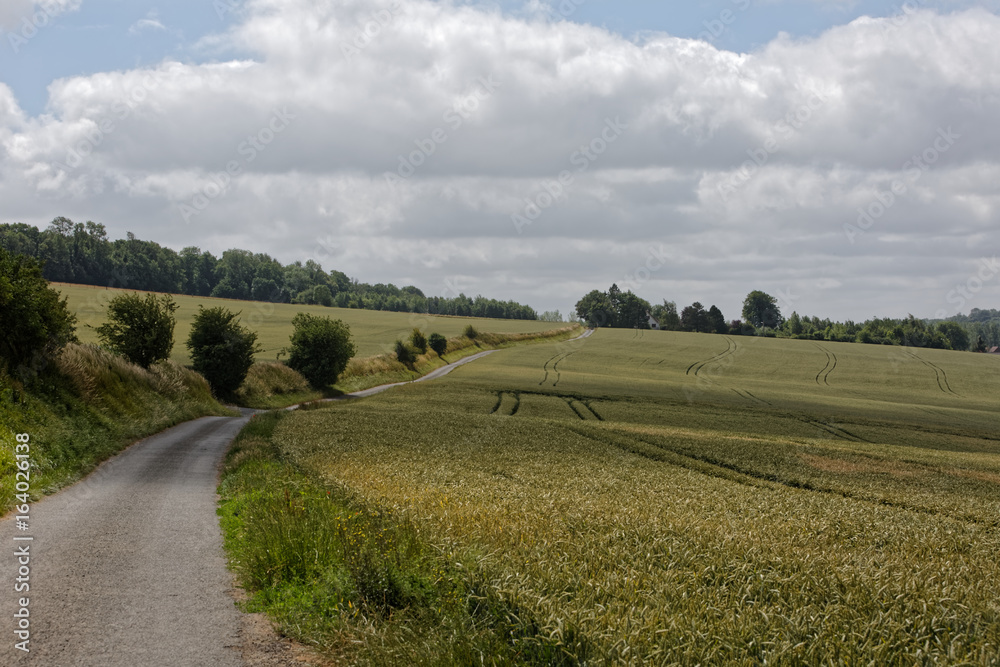 Chemin rural à travers champs dans le Ternois département du Pas-de-Calais, France