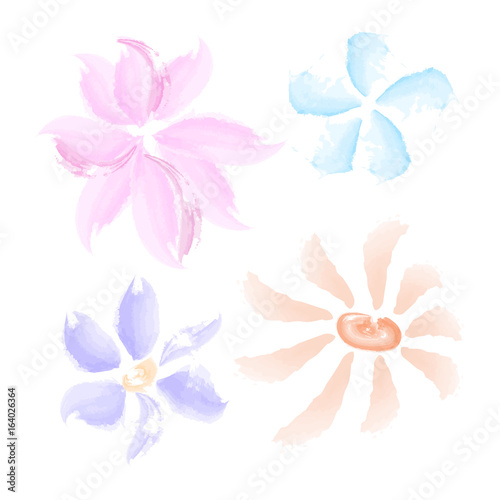 Watercolor flowers set isolated on white background. Vector illustration