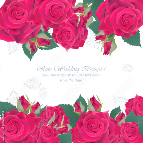 Pink roses card Vector. delicate summer card. Springtime fresh natural compos...
