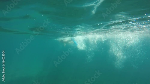 Wallpaper Mural swimmer in flippers swim into the sea, raw, 4K Torontodigital.ca