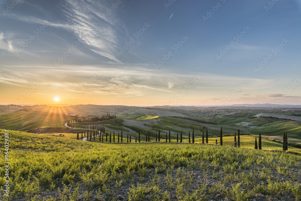 La strada di campagna La strada di campagna