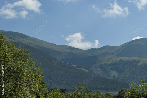 Majestic mountain top overgrown with coniferous forest  valley and grass glade  Central Balkan mountain  Stara Planina  Bulgaria 