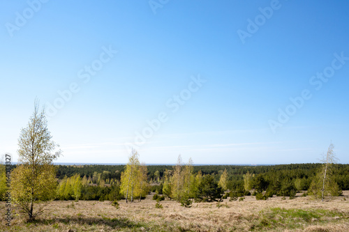 Curonian Spit landscape