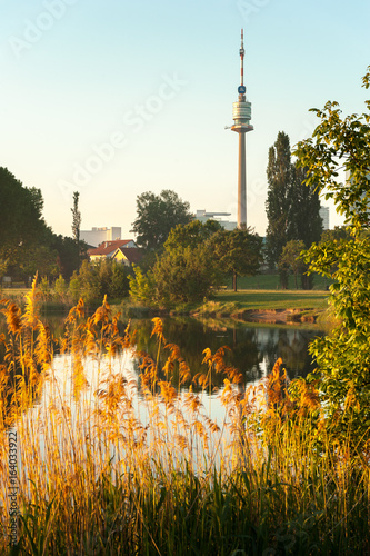 Photography Donauturm