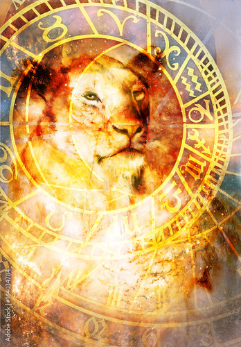 beautiful painting of lioness with zodiac motive in floating space energy and light.