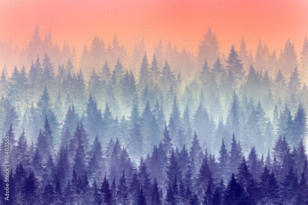 Trees in morning fog. Digital painting.