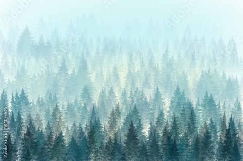 Fototapeta Drzewa w porannej mgle. Malarstwo cyfrowe.