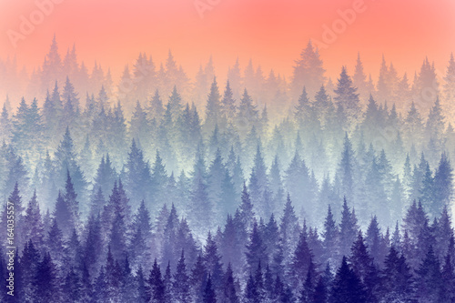 Trees in morning fog. Digital painting.