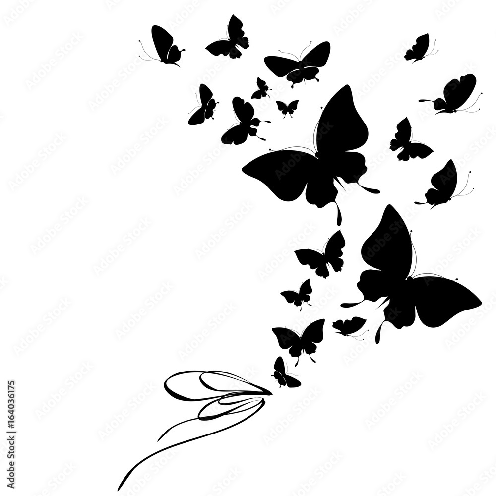 black butterfly, isolated on a white black butterfly, isolated on a white
