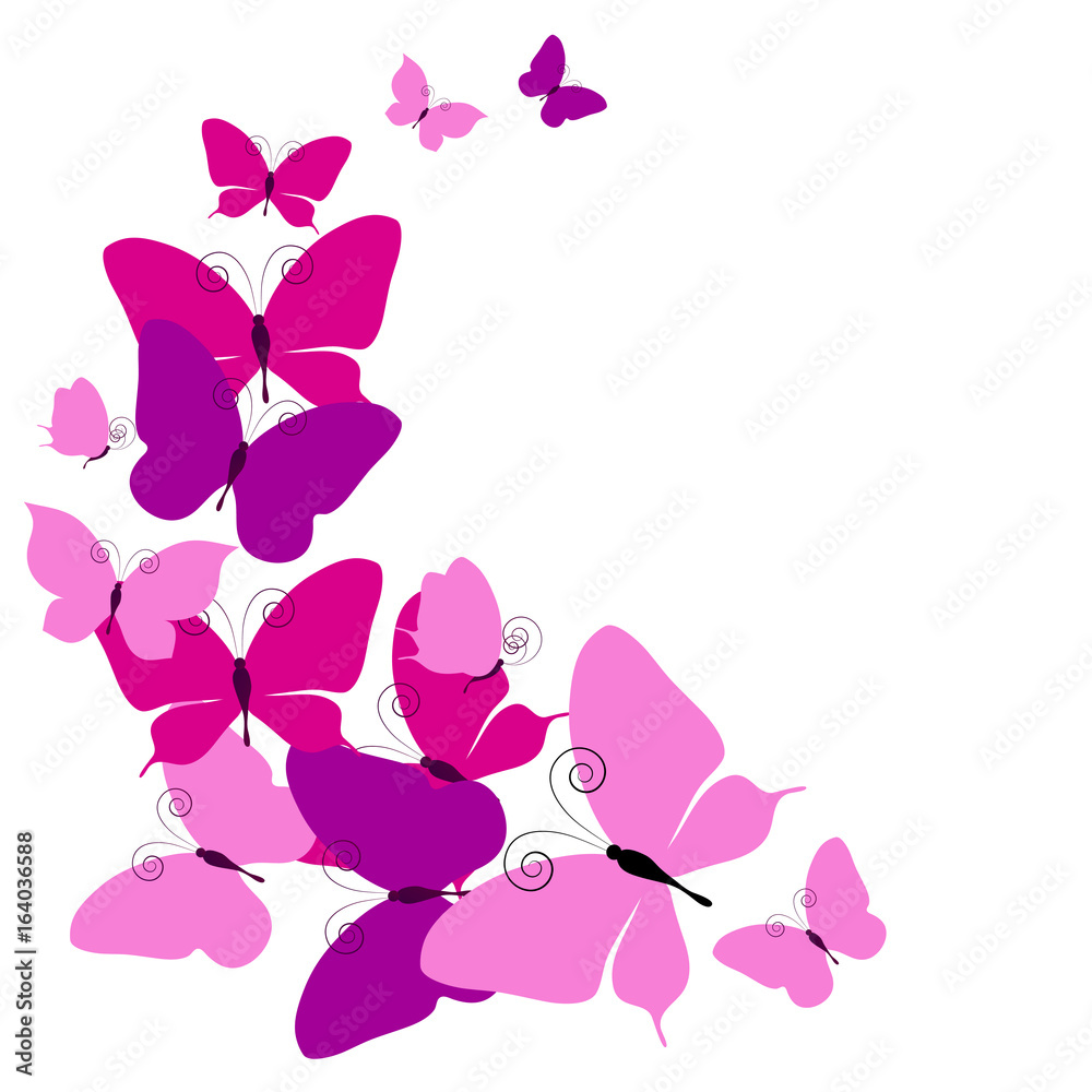 beautiful pink butterflies, isolated on a white beautiful pink butterflies, isolated on a white