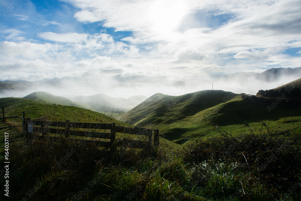 Sunny morning over NZ fields