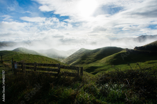 Sunny morning over NZ fields