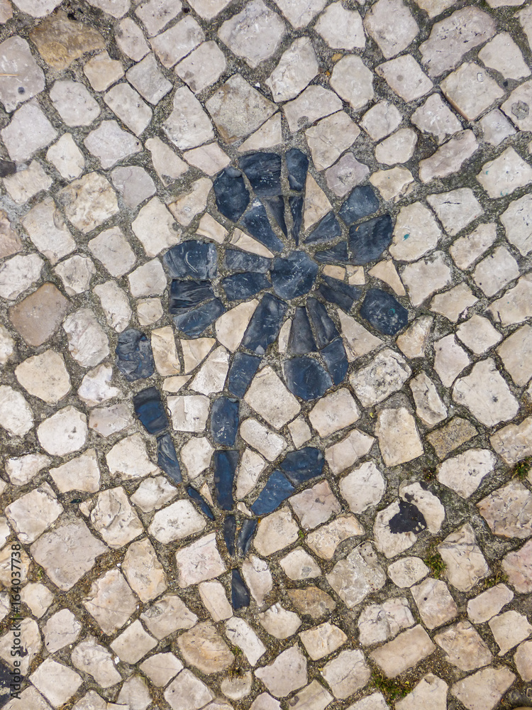 Fototapeta Portuguese pavement (calcada portuguesa) flower detail