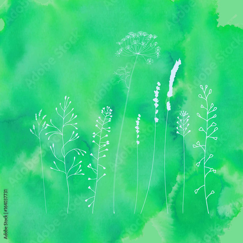 Lavender, fennel and meadow grasses sihouettes. Vector illustration with isol...