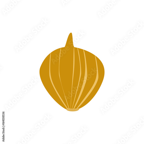 Ripe Golden Fresh Onion on White Background, Organic Food,