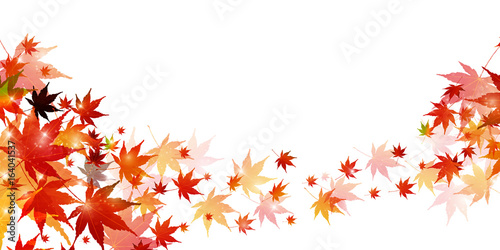紅葉　秋　風景　背景 