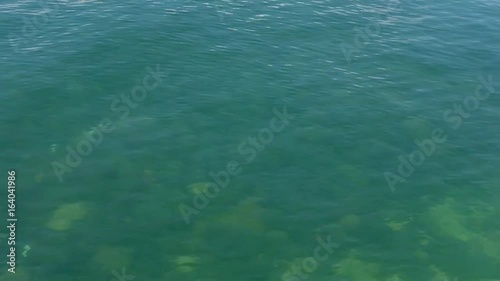  00:03 | 00:22 1×  Moving Blue Water Surface with Stones under water, Birds flying through the camera.