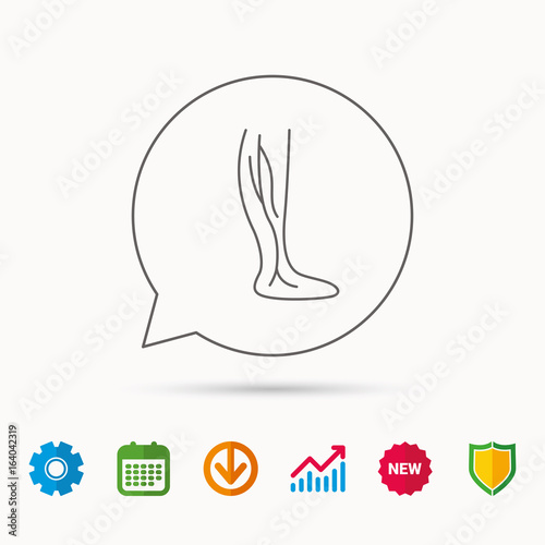 Phlebology icon. Leg veins sign. Varicose or thrombosis symbol. Calendar, Graph chart and Cogwheel signs. Download and Shield web icons. Vector