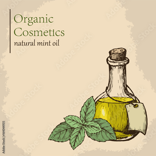 Organic essential mint oil with leaves. Vector illustration. Engraving style illustration