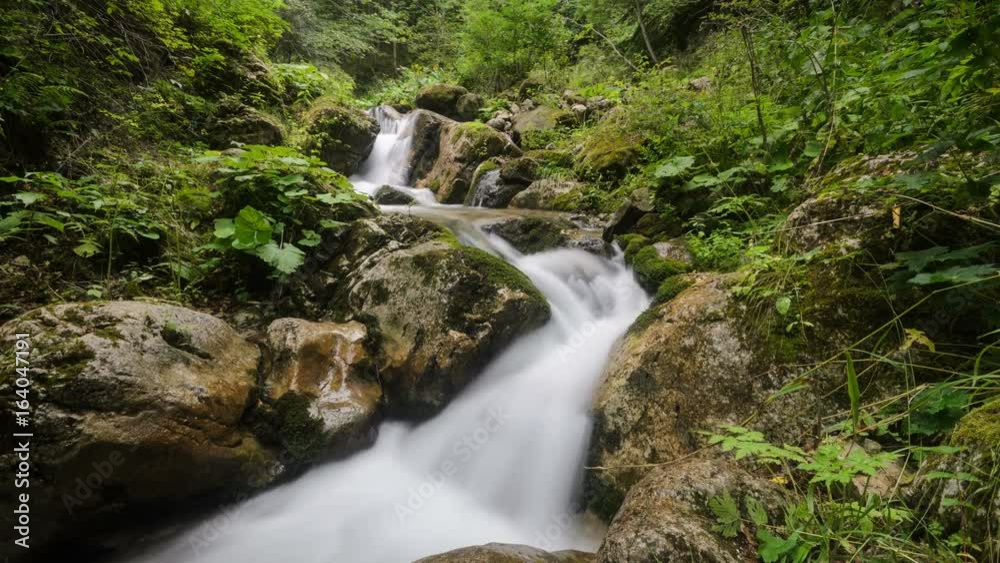 Medium shot of a forest stream with green trees and mossy rocks. 4k timelapse. Medium shot of a forest stream with green trees and mossy rocks. 4k timelapse.