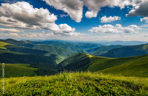 hillside meadow in mountain