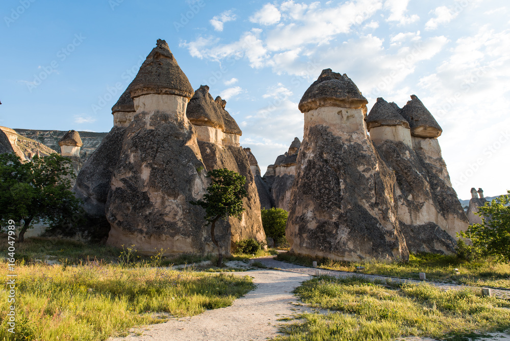 Beautiful mushroom rocks in Cappadocia, Turkey