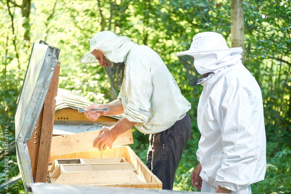 Shot of two beekeepers working together at an apiary harvesting honey profession teamwork farmers farming natural organic concept. Shot of two beekeepers working together at an apiary harvesting honey profession teamwork farmers farming natural organic concept.