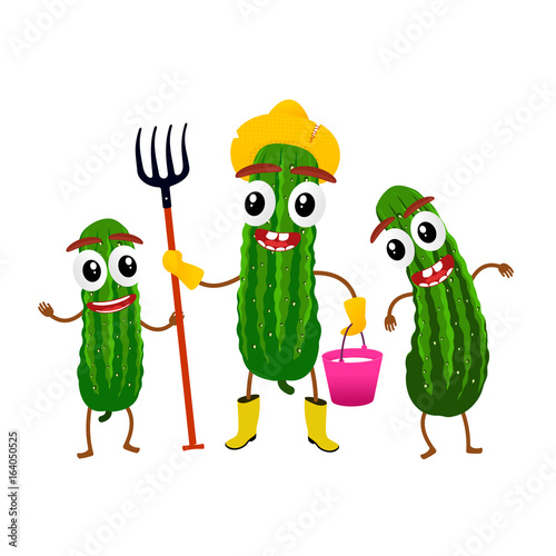 Cucumber cartoon illustration