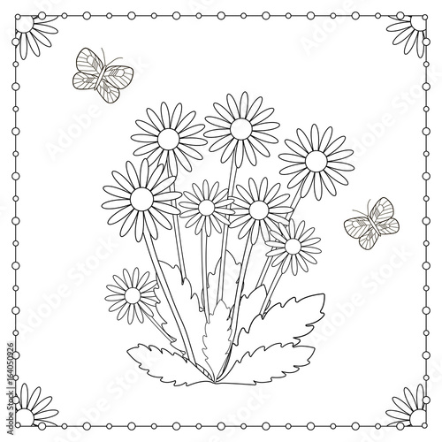 Coloring page from the flowers and butterflies.