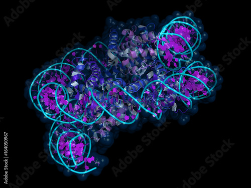 Nucleosome is a basic unit of DNA packaging in eukaryotic cells, with 147 nucleotides of DNA wrapped around the core built from histone proteins. 