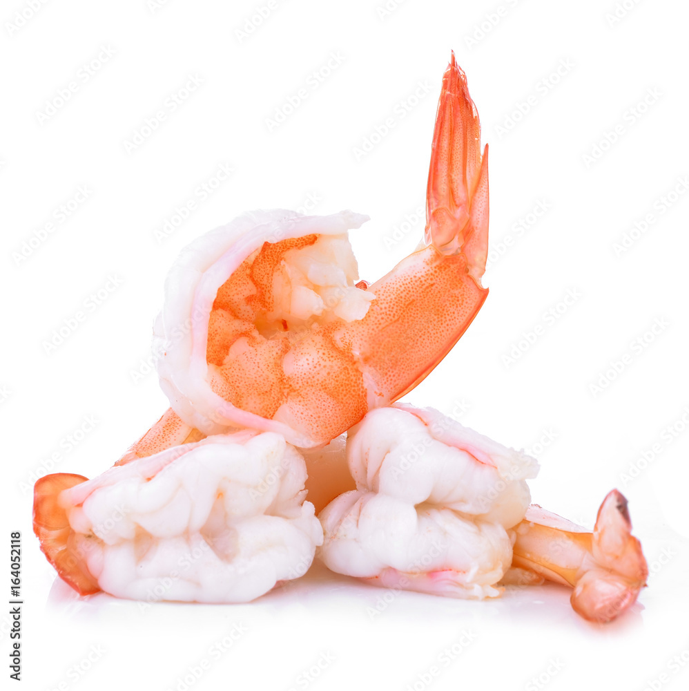 Shrimp Isolation on the white