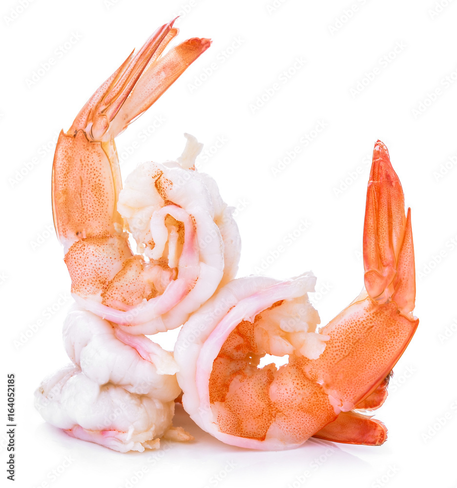 Shrimp Isolation on the white Shrimp Isolation on the white