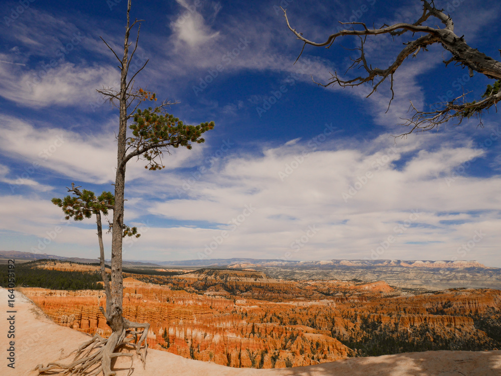 Obraz premium Bryce Canyon