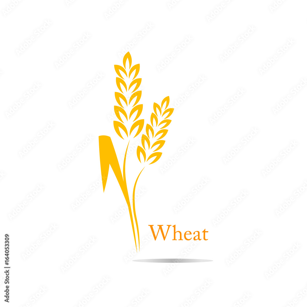 wheat rice spike wheat rice spike