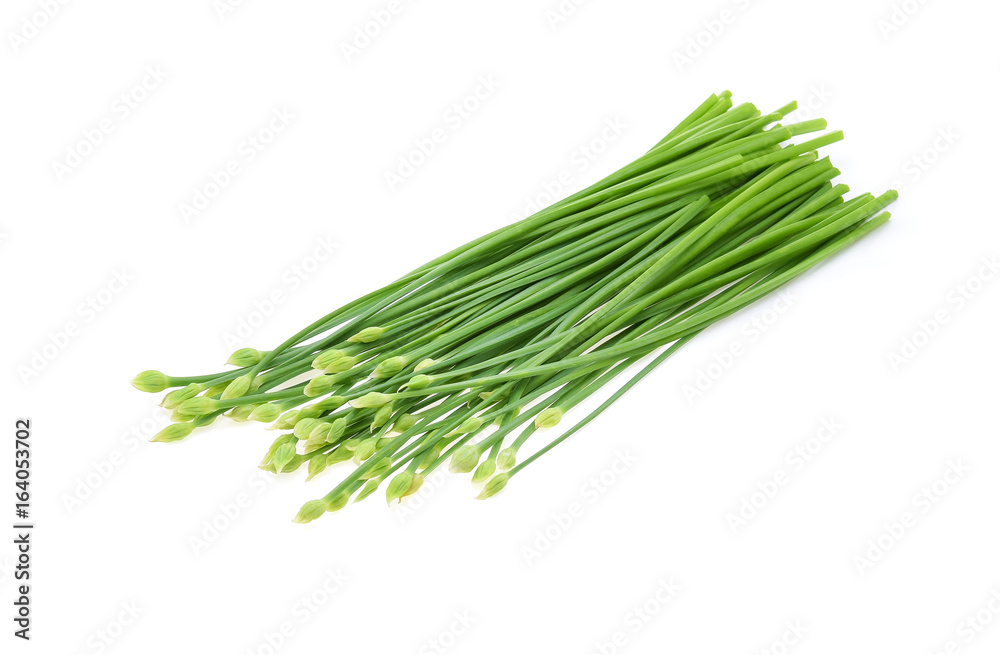 Chives flower or Chinese Chive isolated on white background Chives flower or Chinese Chive isolated on white background