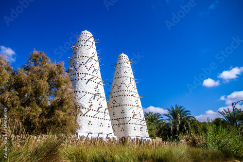 A view of the White Dovecote in the suburbs of Siwa Oasis, Egypt