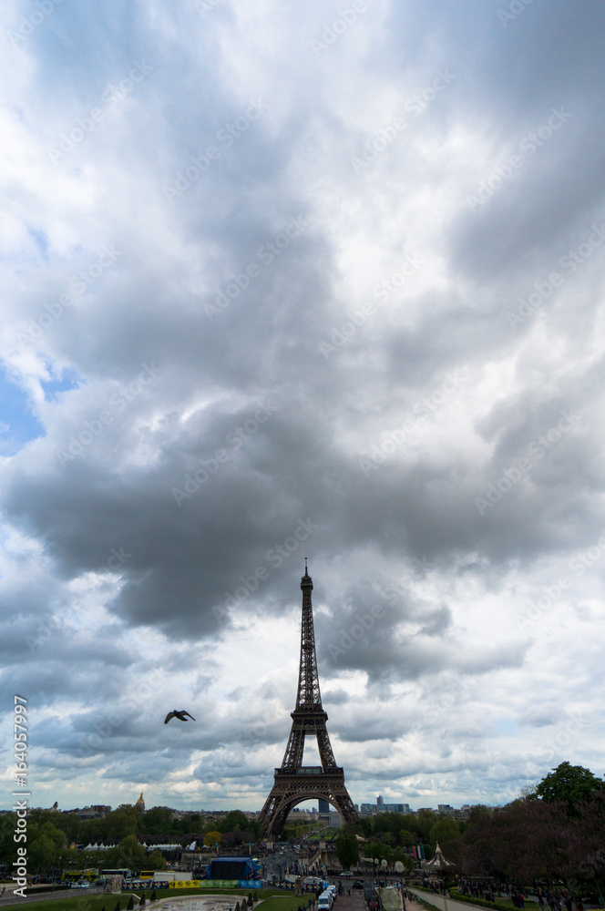 Fototapeta premium The Eiffel Tower