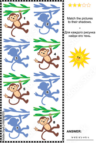 Visual puzzle or picture riddle: Match monkeys hanging on liana to their shadows. Answer included.

