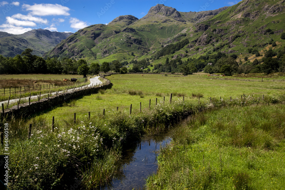Footpath through Langdale, Lake District, Cumbria Footpath through Langdale, Lake District, Cumbria