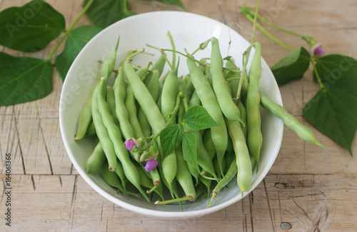 Pods of beans with flowers and leaves.