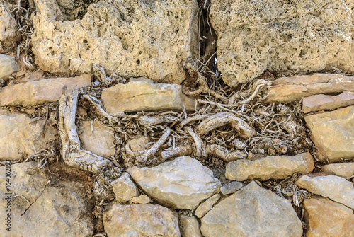 abstract with ashlars and roots in the town of Orbaneja of the Castle in the province of Burgos in Castile and Leon,